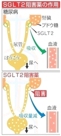 神戸新聞NEXT 神戸新聞NEXT