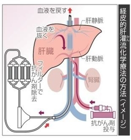 神戸新聞NEXT 神戸新聞NEXT