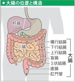 神戸新聞NEXT 神戸新聞NEXT