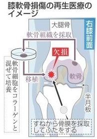 神戸新聞NEXT 神戸新聞NEXT