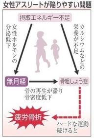 神戸新聞NEXT 神戸新聞NEXT
