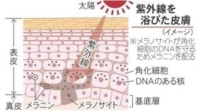神戸新聞NEXT 神戸新聞NEXT