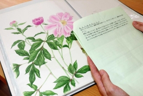 手紙を読む次女。亡き母が描いた花の絵を添え、思い出に浸った=神戸市垂水区 手紙を読む次女。亡き母が描いた花の絵を添え、思い出に浸った=神戸市垂水区