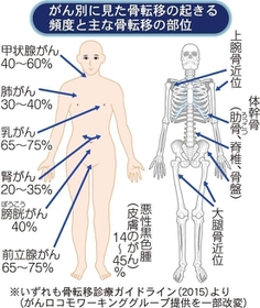 神戸新聞NEXT 神戸新聞NEXT