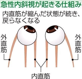 神戸新聞NEXT 神戸新聞NEXT