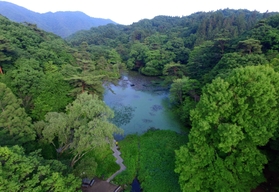 長谷池付近から南を望む。針葉樹のラクウショウやモミジなど、多様な樹木が葉を茂らせる=神戸市北区山田町 長谷池付近から南を望む。針葉樹のラクウショウやモミジなど、多様な樹木が葉を茂らせる=神戸市北区山田町