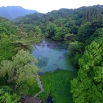 長谷池付近から南を望む。針葉樹のラクウショウやモミジなど、多様な樹木が葉を茂らせる=神戸市北区山田町