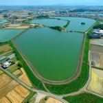 中央に連なる三つのため池が「加古大池」。遠くには淡路島や明石海峡大橋が見える=兵庫県稲美町加古