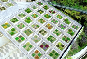 段々畑のように広がる「百段苑」。春から秋にかけ、季節の花々を咲かせる(小型無人機より撮影)=淡路市夢舞台 段々畑のように広がる「百段苑」。春から秋にかけ、季節の花々を咲かせる(小型無人機より撮影)=淡路市夢舞台