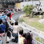 2005年3月の春休み期間中、多くの来場客でにぎわうパンダ舎前=神戸市灘区、市立王子動物園