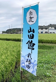 「白鹿」ののぼり旗=三木市内 「白鹿」ののぼり旗=三木市内