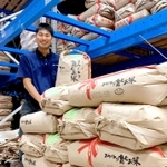 生態系の力を生かして育てたJAたじまの「コウノトリ育むお米」=豊岡市内