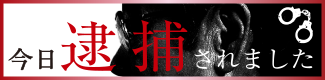シリーズ接見「今日逮捕されました」