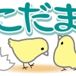 神戸新聞NEXT