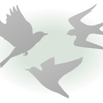 神戸新聞NEXT