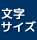 文字サイズ