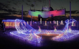 夜の大蔵海岸公園を鮮やかに彩るイルミネーション＝明石市大蔵海岸通１