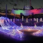 夜の大蔵海岸公園を鮮やかに彩るイルミネーション＝明石市大蔵海岸通１