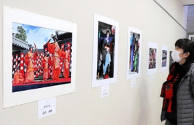 会員の力作が並ぶフォト「菊」写真クラブの作品展＝明石公園