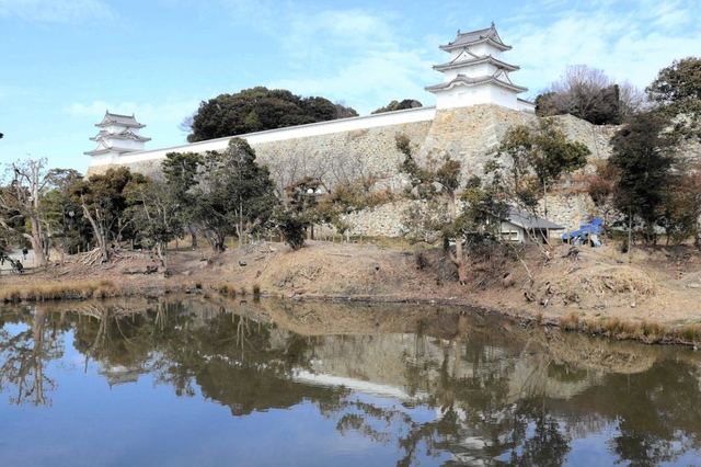 すっきりカットで見やすく 明石城で樹木伐採や剪定進む 明石 神戸新聞next