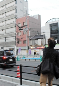 ムクドリが集まるビルに向かって大きな翼を広げるハリスホークの咲＝明石市内