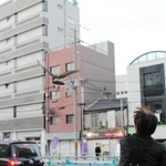 ムクドリが集まるビルに向かって大きな翼を広げるハリスホークの咲＝明石市内