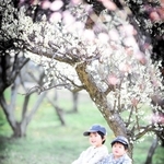 田代麻美さん「梅の花見て一休み」