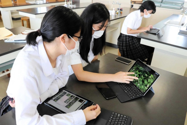 パソコンを使って植物の特定に取り組む生徒＝明石市荷山町