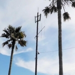 林崎・松江海岸に設置した監視カメラ（明石市提供）