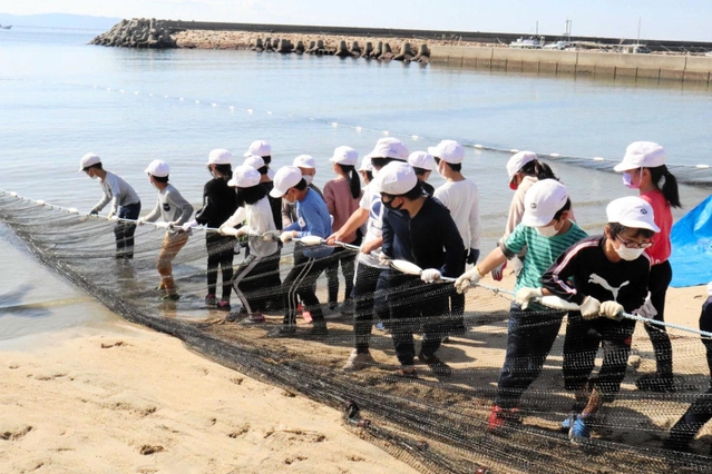 地引き網漁体験で懸命に網を引っ張る児童＝明石市大久保町江井島