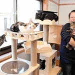 保護スペースでネコをあやす新田彩貴さん＝明石市西新町２