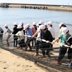 地引き網漁体験で懸命に網を引っ張る児童＝明石市大久保町江井島