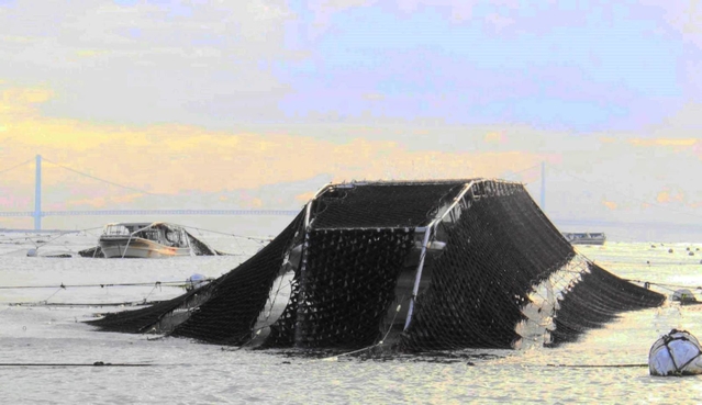 ノリ網をくぐる刈り取り専用の潜り船＝明石市沖