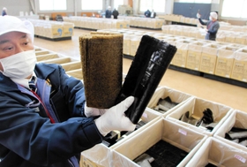 今季初めて開かれたノリの共販。海域の栄養塩の状況に応じて、色付きやつやに差がみられた＝播磨町古宮