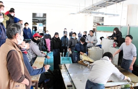 次々に競り落とされていく魚＝明石市岬町、明石浦漁業協同組合