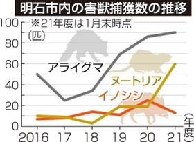 神戸新聞ＮＥＸＴ