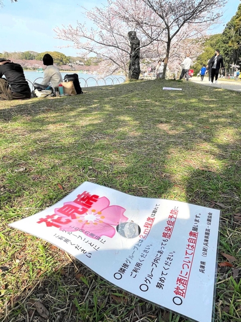 地面に打ち込まれた「花見席」の張り紙＝明石市明石公園