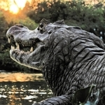 パラグアイカイマン（Ｃ）Ｍｉｔｓｕａｋｉ　Ｉｗａｇｏ