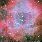 星が放つ紫外線で赤く光るバラ星雲（明石市立天文科学館提供）