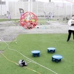 初心者から上級者まで楽しめるドローンパーク＝明石ウォーターフロントパーク・ＧＲＡＶＡ