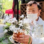 兵庫県産のセッコク「播磨しだれ」＝明石市明石公園