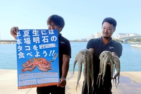 明石半夏生たこまつり実行委員会のポスターと明石ダコ＝明石市二見町東二見