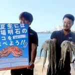 明石半夏生たこまつり実行委員会のポスターと明石ダコ＝明石市二見町東二見