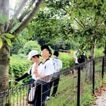 クビアカツヤカミキリを探す明石北高生たち＝明石市大久保町松陰
