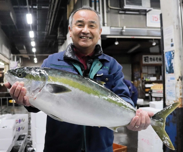 旬を迎えたブリ＝明石市公設地方卸売市場