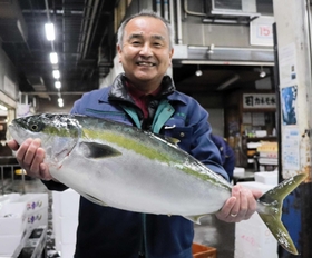 旬を迎えたブリ＝明石市公設地方卸売市場