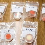 明石玉を割り、樹脂で覆ったもの。成分の分析に使用された