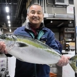 旬を迎えたブリ＝明石市公設地方卸売市場