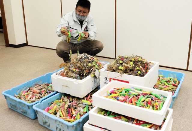 昨年回収された餌木の一部＝明石市二見町東二見