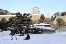 雪が積もった芝生でそり遊びをする子どもら＝明石公園